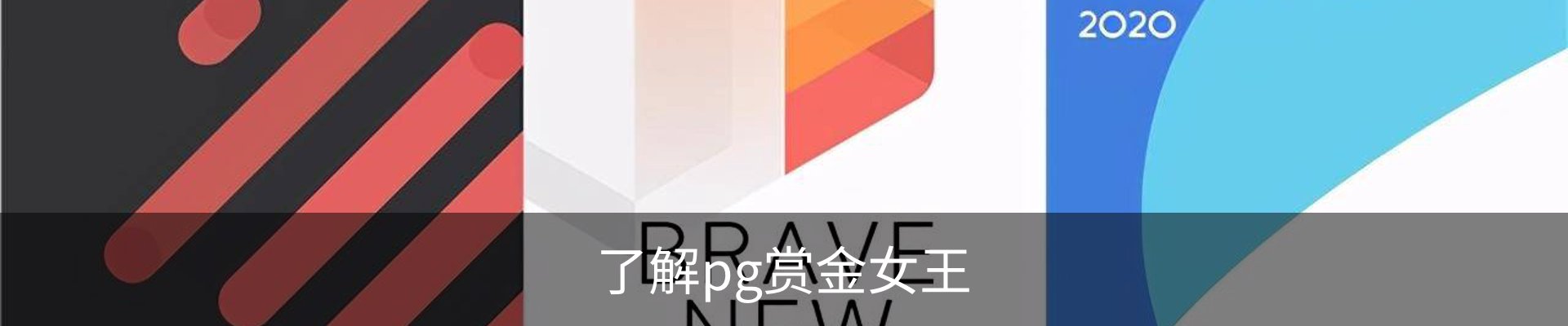 了解pg赏金女王