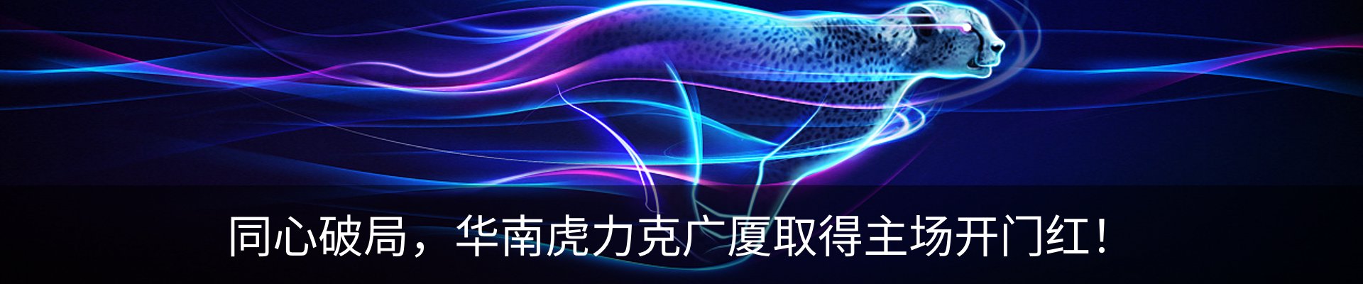 新闻动态